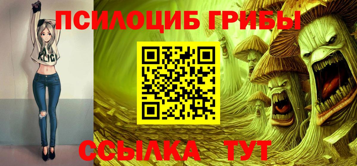 Псилоцибиновые грибы Psilocybe  Вход с VPN  Галлюциногенные грибы Psilocybine cubensis  Избербаш 